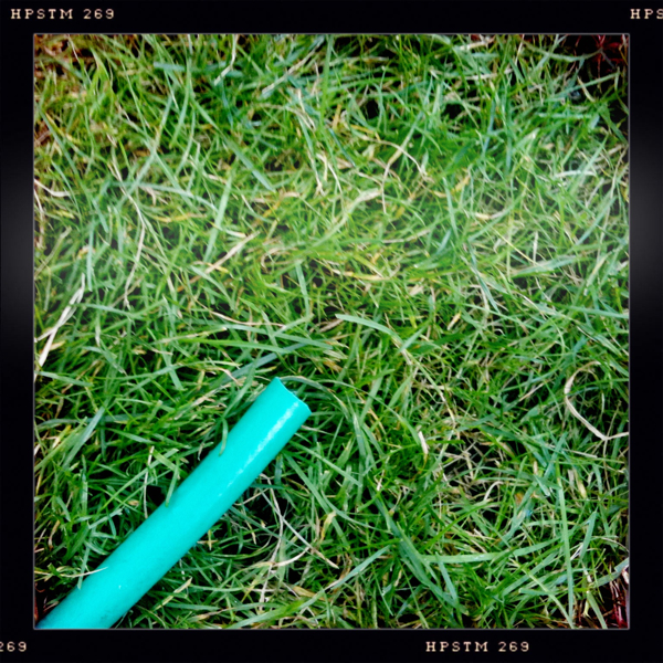 Hip 333820795.058687