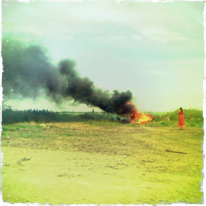 Hip 335041633.406267