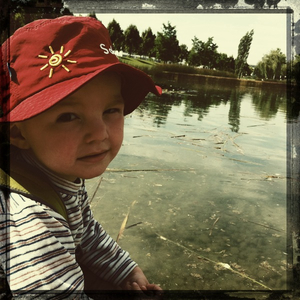 Hip 334850162.499212