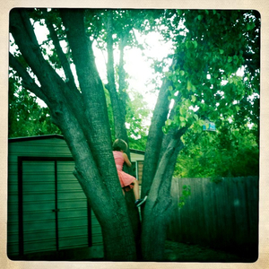 Hip 335144720.877105