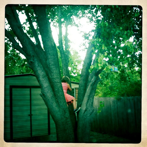 Hip 335144720.877105