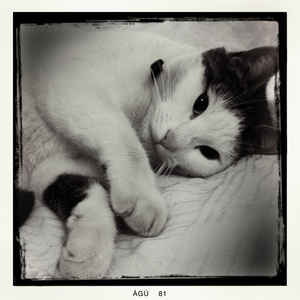 Hip 335144006.606039