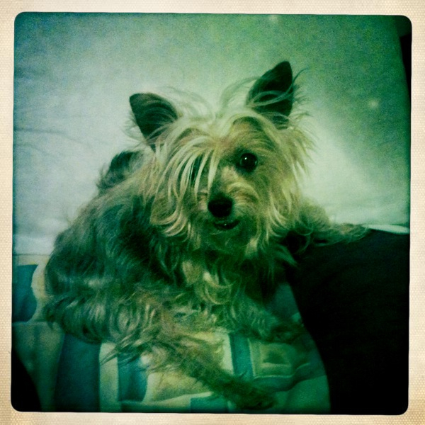 Hip 335146564.247836