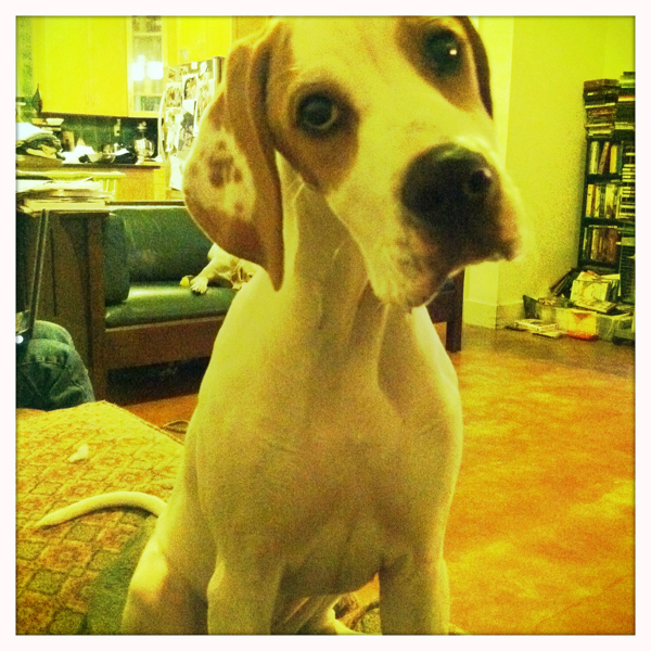 Hip 335148877.745215