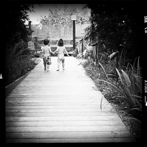 Hip 334354520.017831