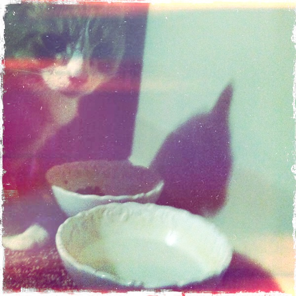 Hip 335152955.773906