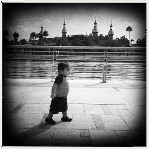 Hip 334961124.073222