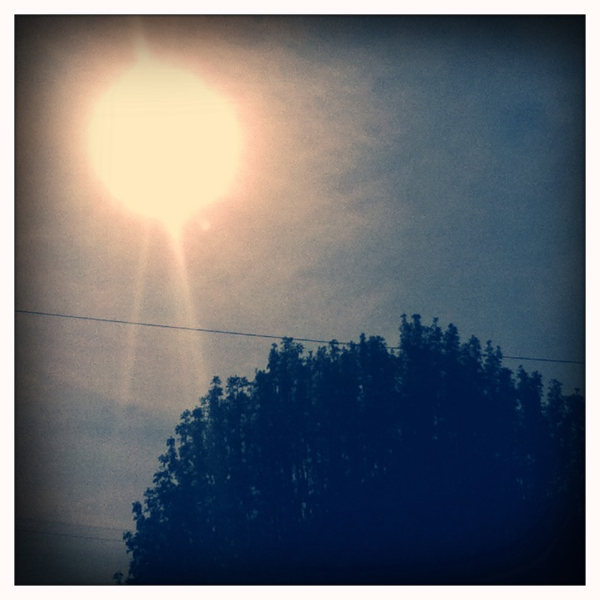 Hip 324593184.980120