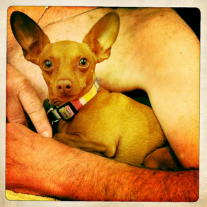 Hip 335155238.890127