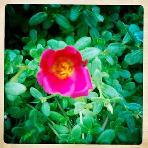 Hip 335109971.352978