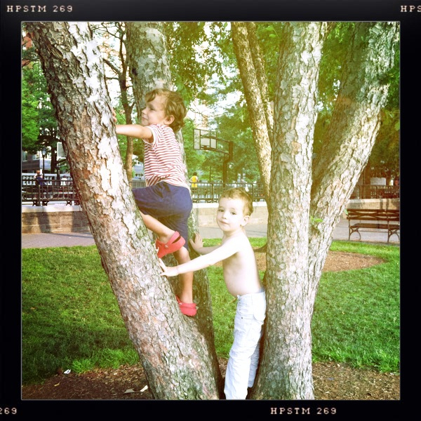 Hip 330995057.402122