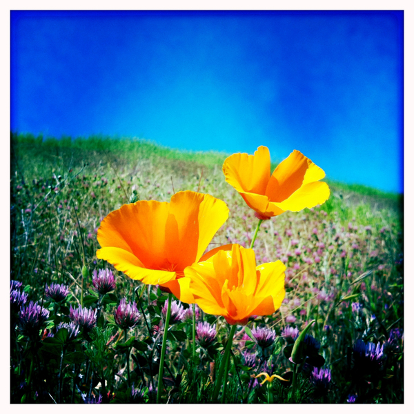 Hip 325371406.800621