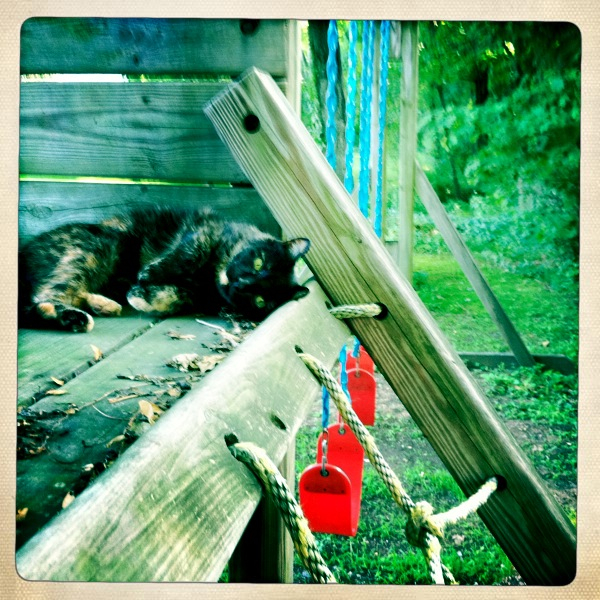 Hip 331162194.969959