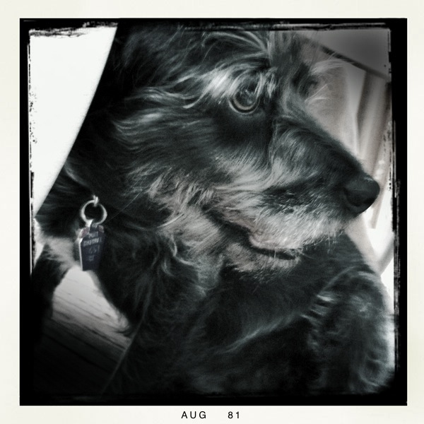 Hip 334361044.613169