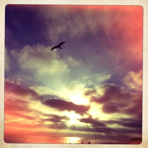 Hip 335152677.058770