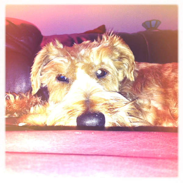 Hip 335154126.476824