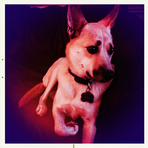 Hip 335151864.178180