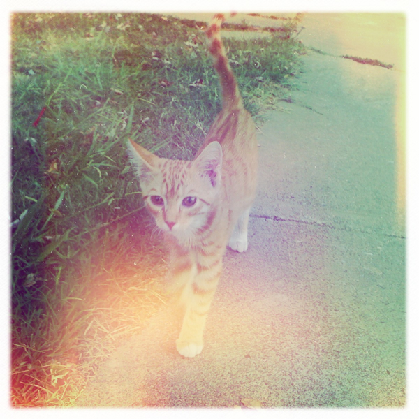 Hip 334541890.057963