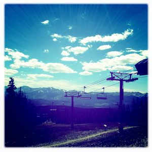 Hip 334960265.117918