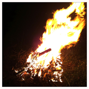 Hip 334299808.187024