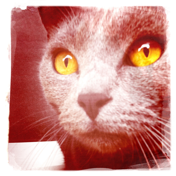 Hip 335165359.973560