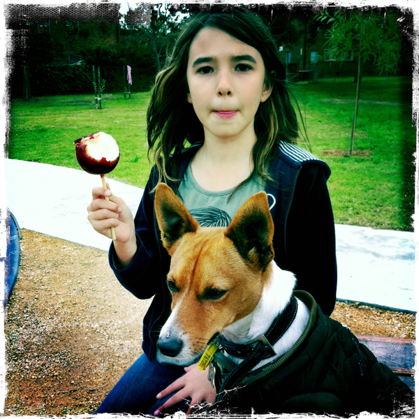 Hip 334986742.868231