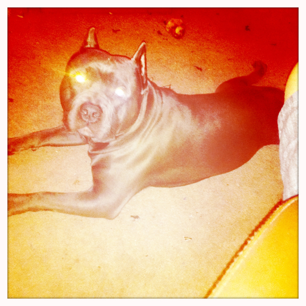 Hip 335166252.545999