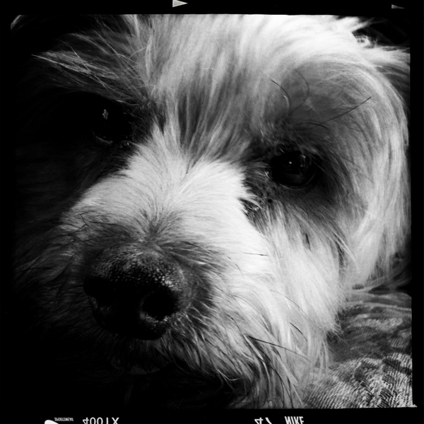 Hip 328735817.732497