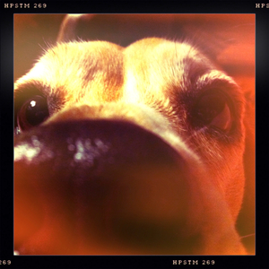 Hip 329461176.087319