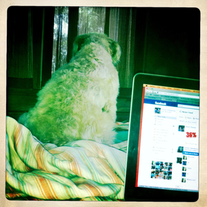 Hip 333392870.914524