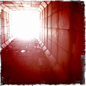 Hip 325962935.362973