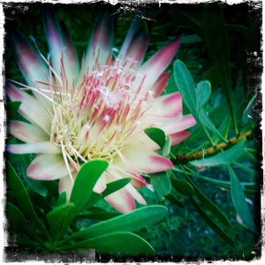 Hip 326269329.457291