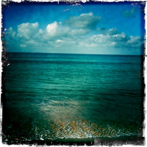 Hip 330840504.803238