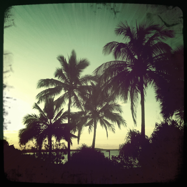 Hip 335170951.022517