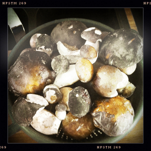 Hip 335174366.979324