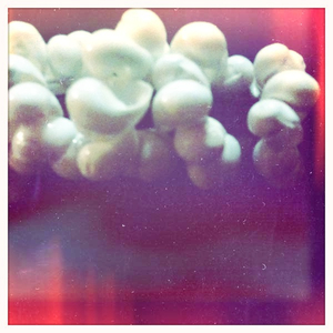 Hip 331456844.829877