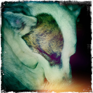 Hip 311522377.513572