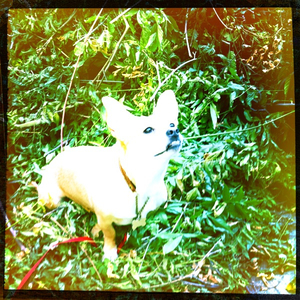 Hip 335149359.332768