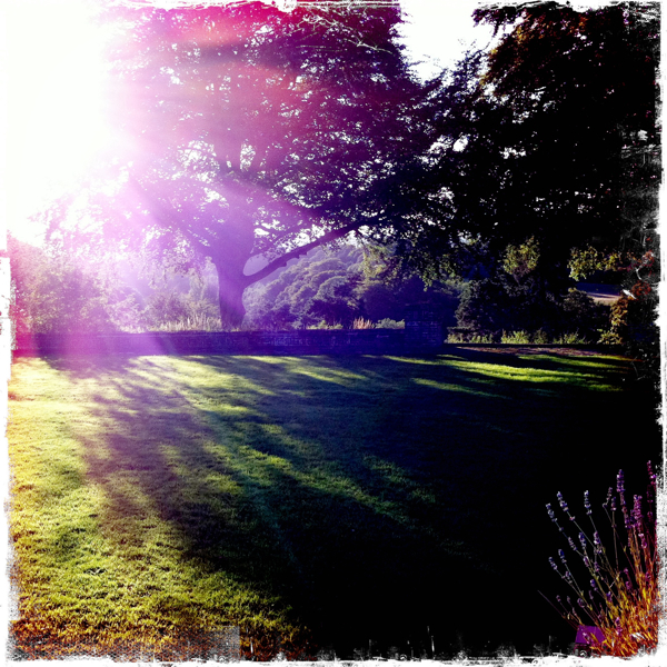 Hip 335039470.016050