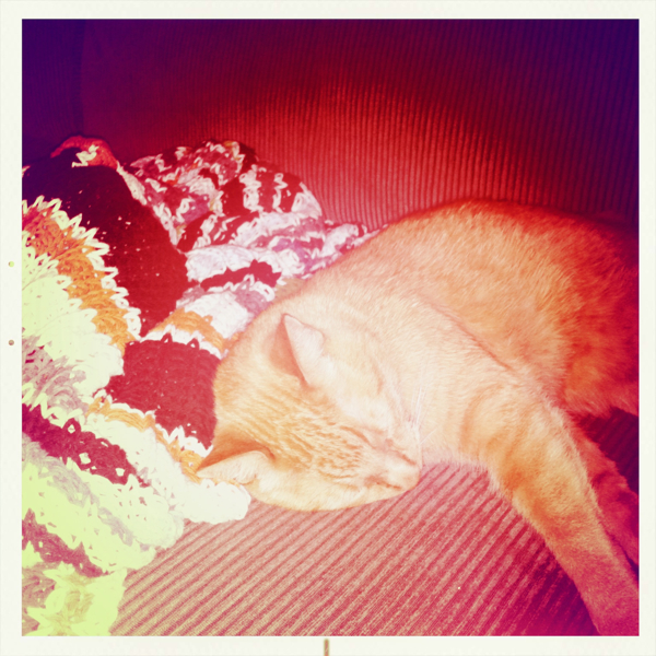 Hip 335178131.744126