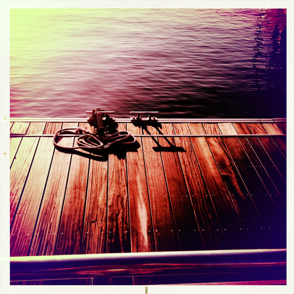 Hip 335167849.064564