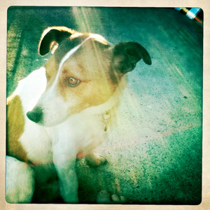 Hip 333929809.205871