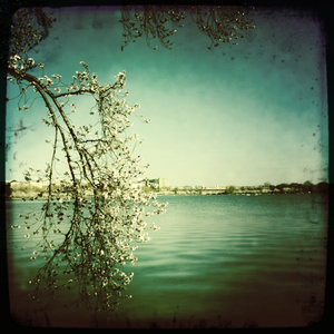 Hip 322952559.321916