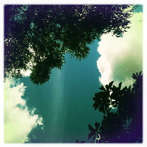 Hip 335098243.262118