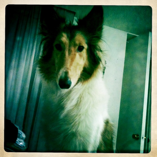 Hip 335188512.319973