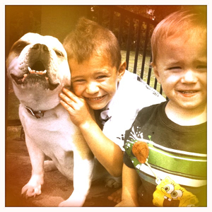 Hip 333213489.815382