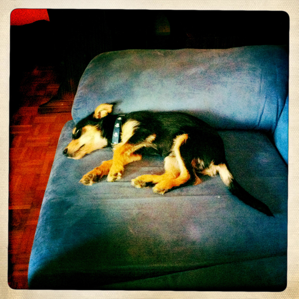 Hip 335191626.553793