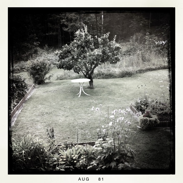 Hip 335191702.896118