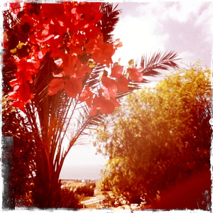 Hip 335010820.091173