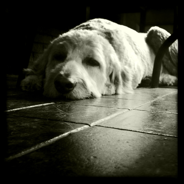 Hip 335187646.555898